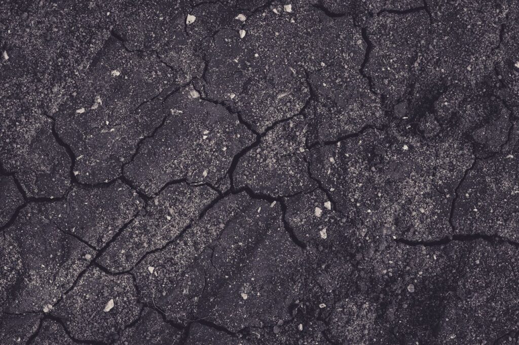 pexels markusspiske 2004166